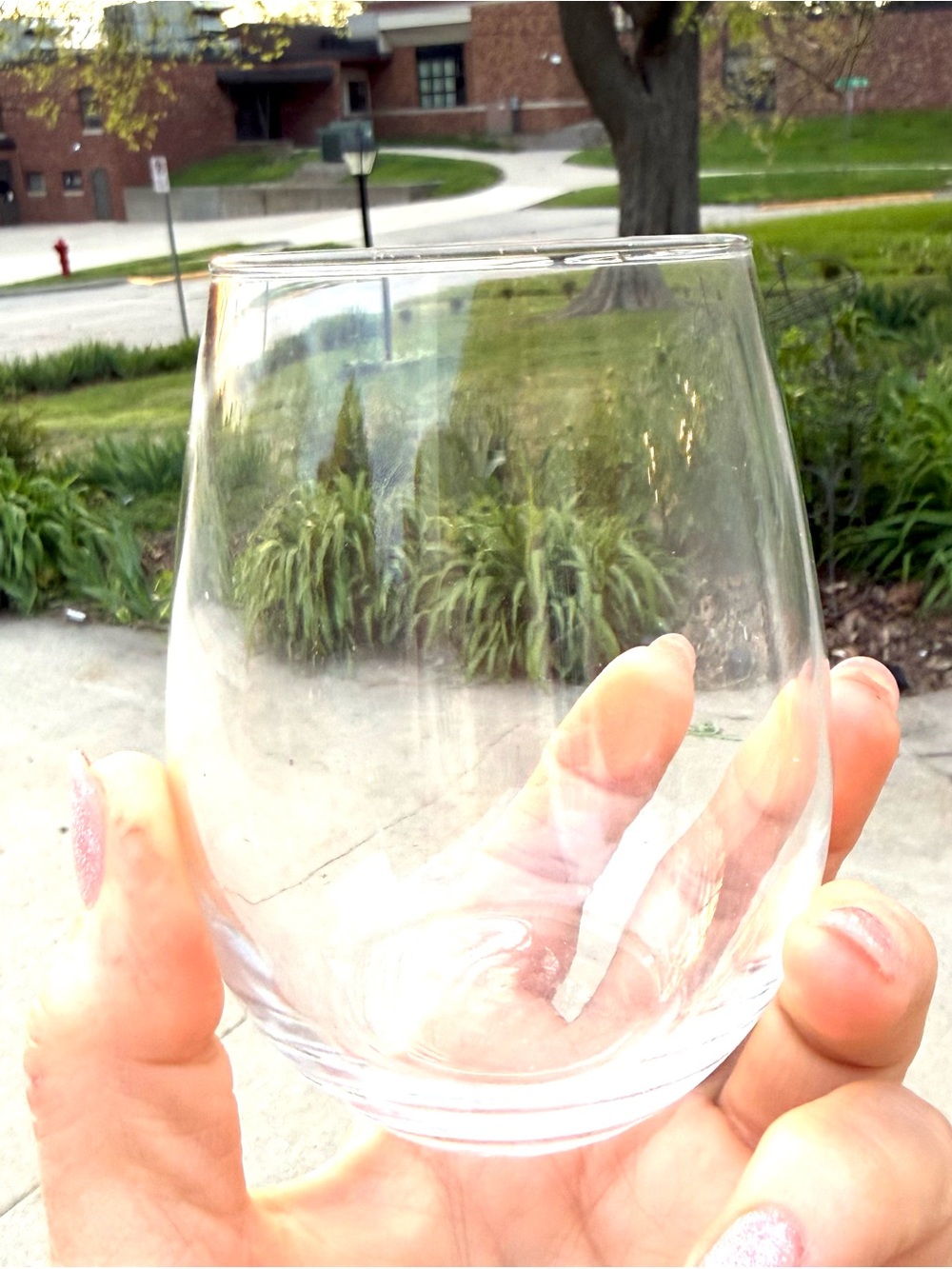 Clear Stemless Wine Glass set of 4
